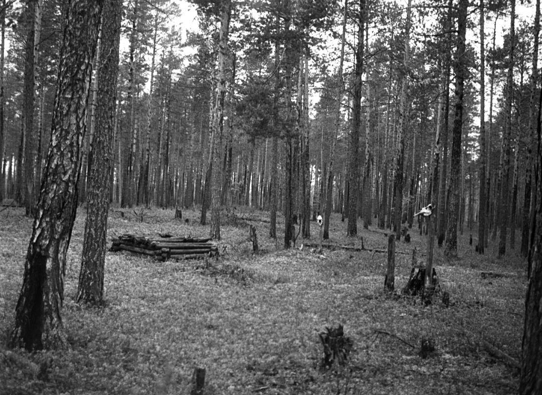 Võttepaigal - Foto Maie Jõgi