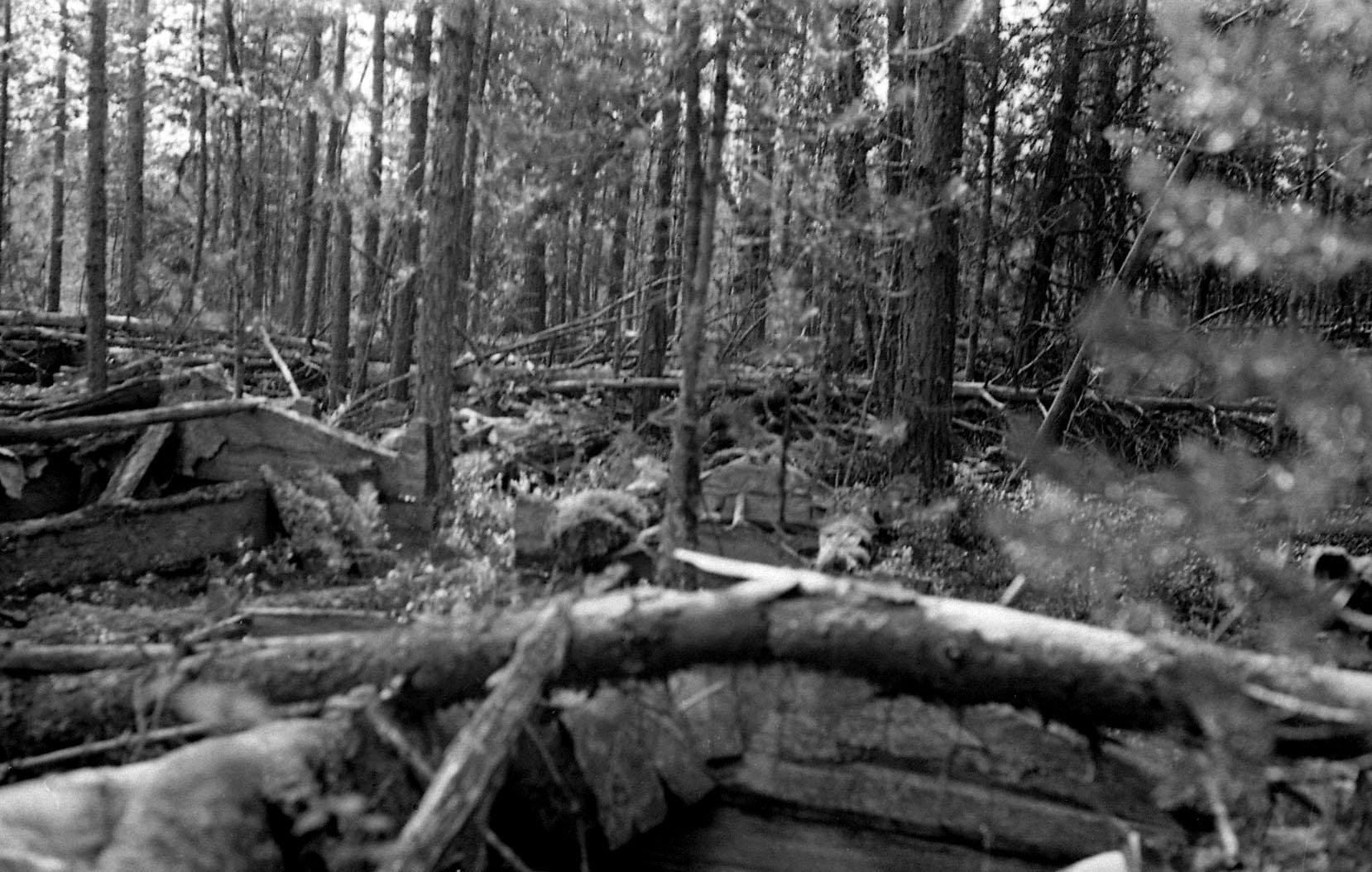 Filmivõtetel tundras - Foto Tõnu Seilenthal