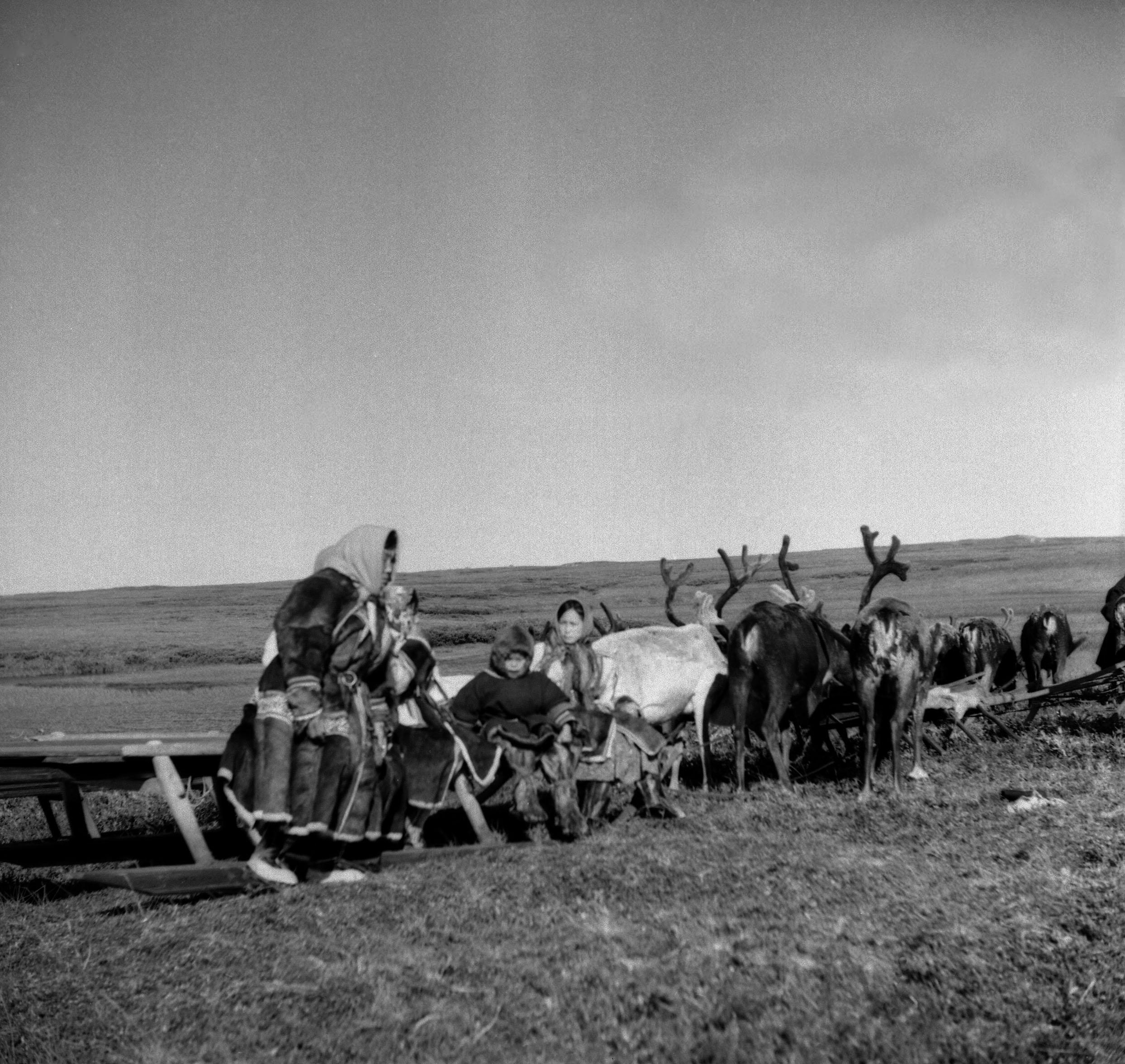 Filmivõtetel tundras - Foto Tõnu Seilenthal