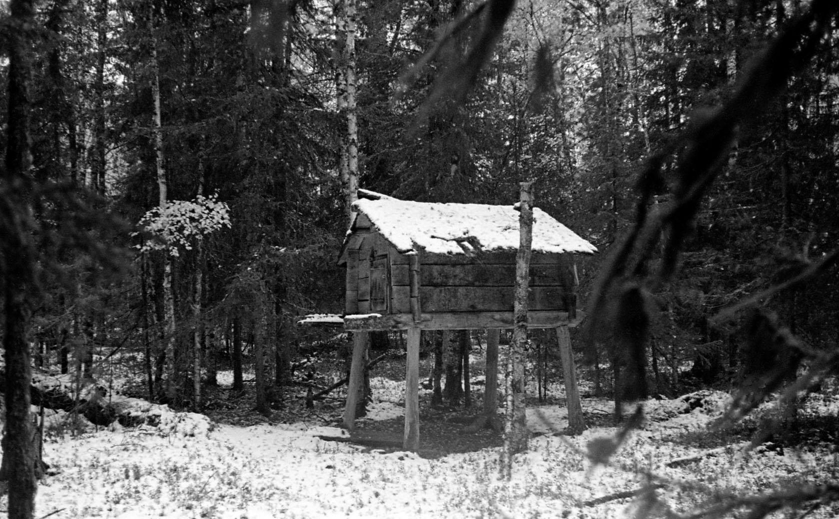 Filmivõtetel Siberis - Foto Tõnu Seilenthal