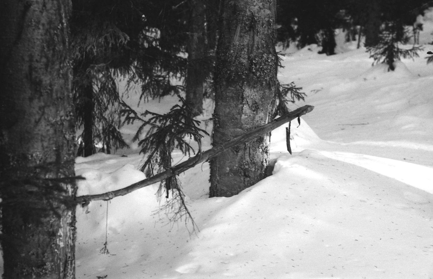 Filmivõtetel Komis - Foto Tõnu Seilenthal