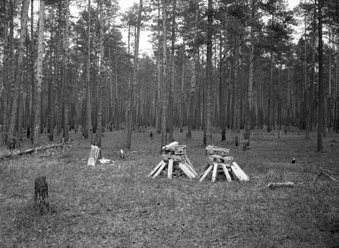 Võttepaigal - Foto Maie Jõgi