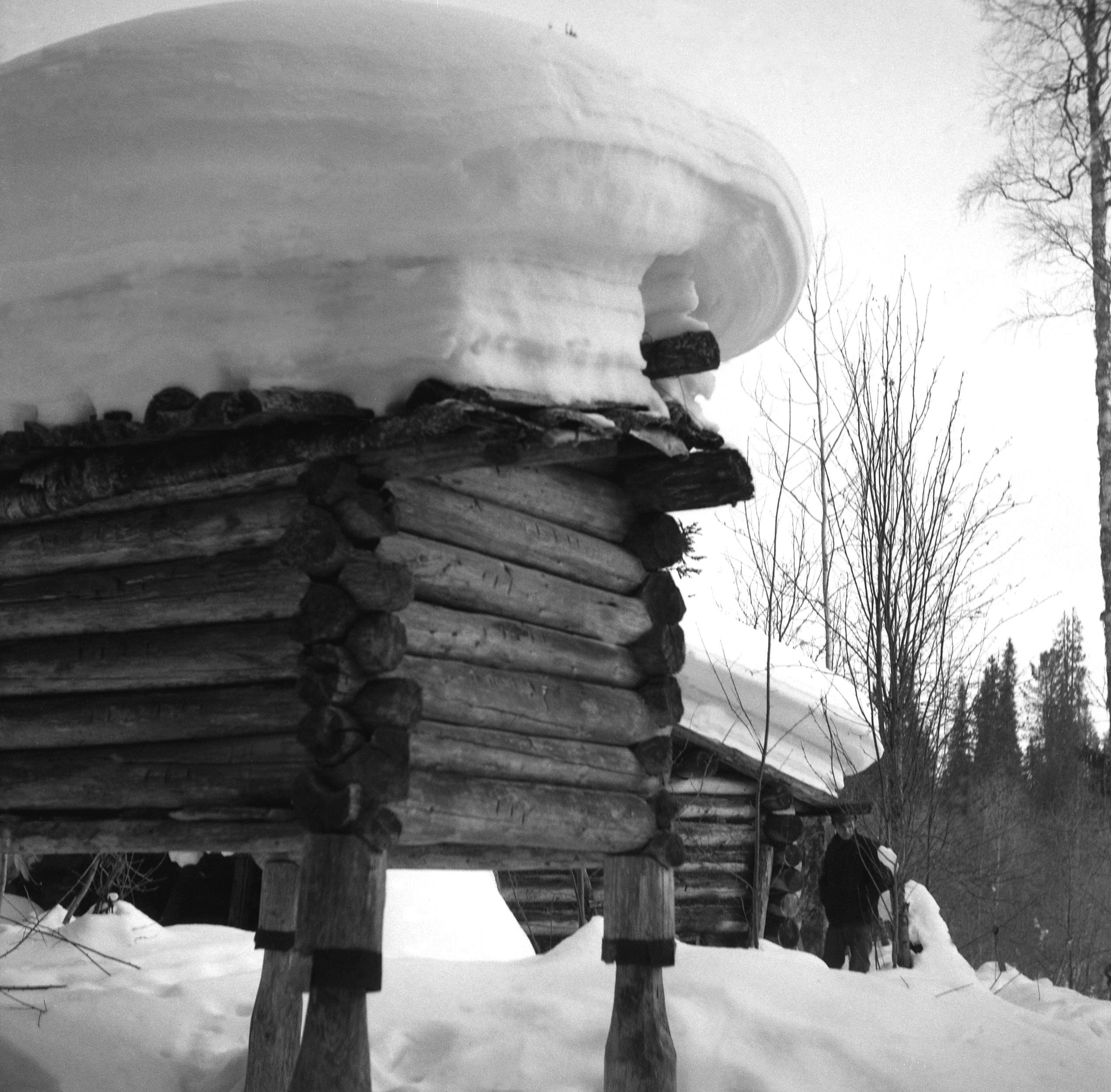 Filmivõtetel Komis - Foto Tõnu Seilenthal