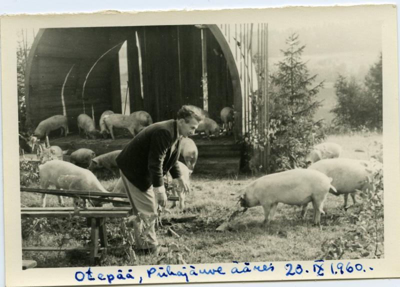 Mängufilmi „Laulu sõber“ võttegrupp Otepääl Pühajärve ääres (20.09.1960). Filmigrupi liige Aleksei Juhkum, taustal laululava