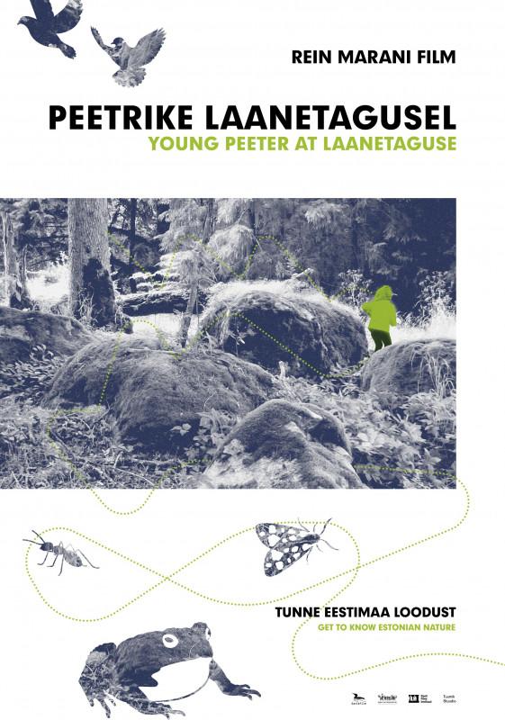 Peetrike Laanetagusel (2018) - Kujundus Martin ja Marje Eelma, Tuumik Stuudio - Gaviafilm