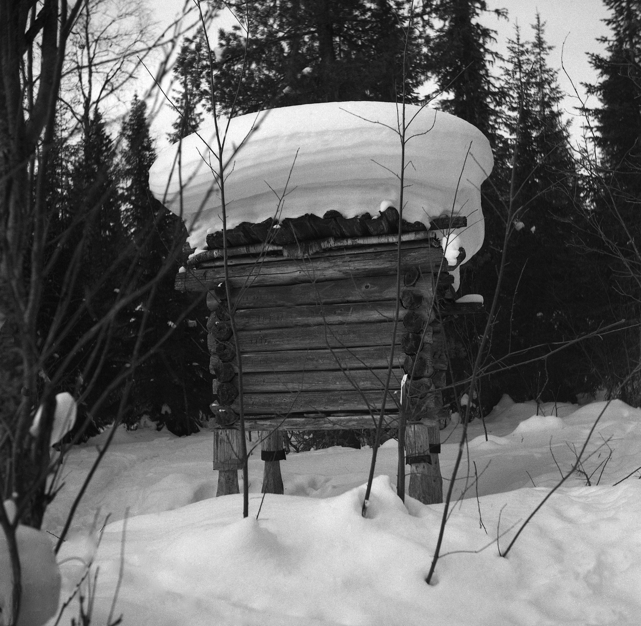 Filmivõtetel Komis - Foto Tõnu Seilenthal