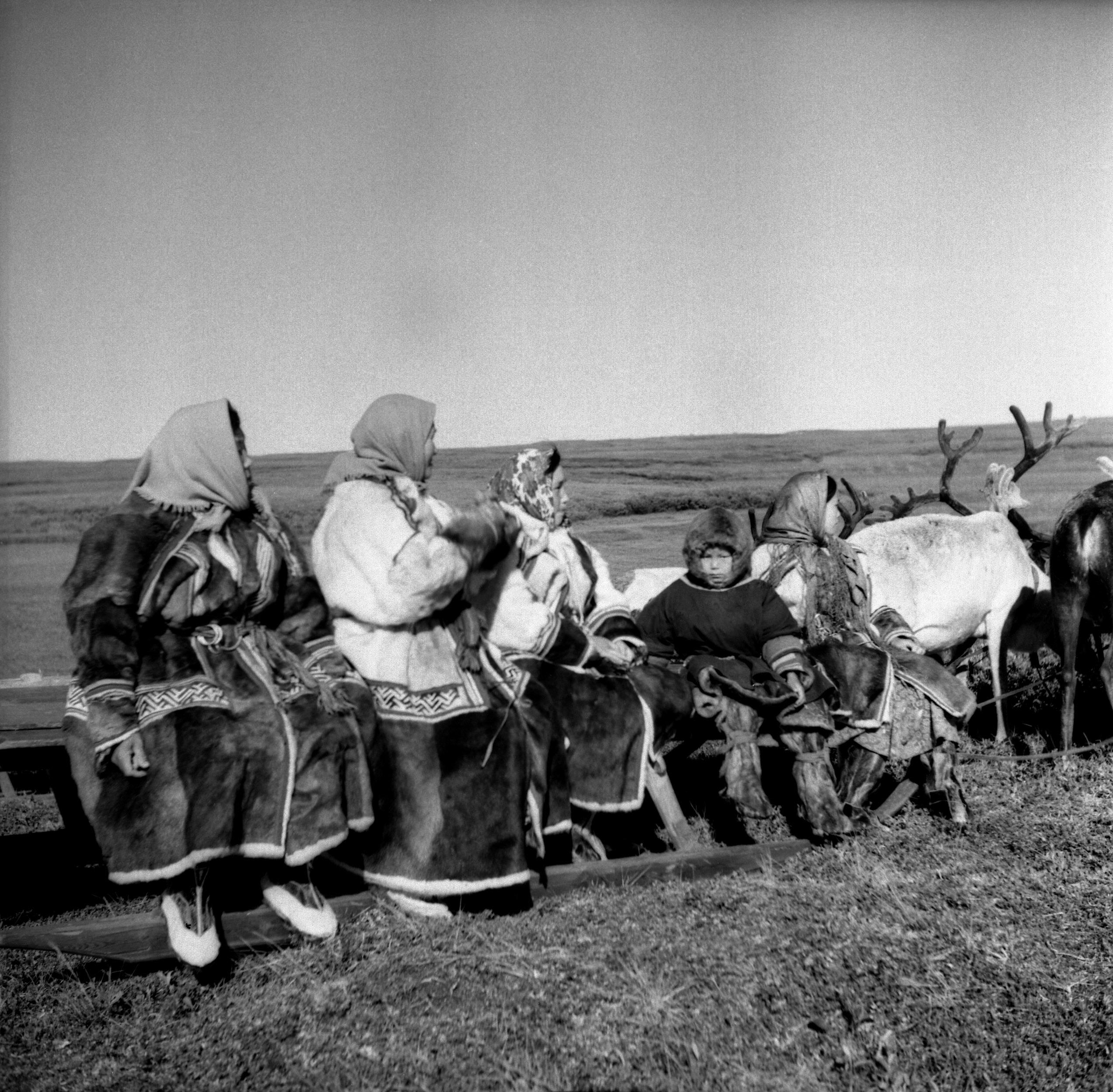 Filmivõtetel tundras - Foto Tõnu Seilenthal