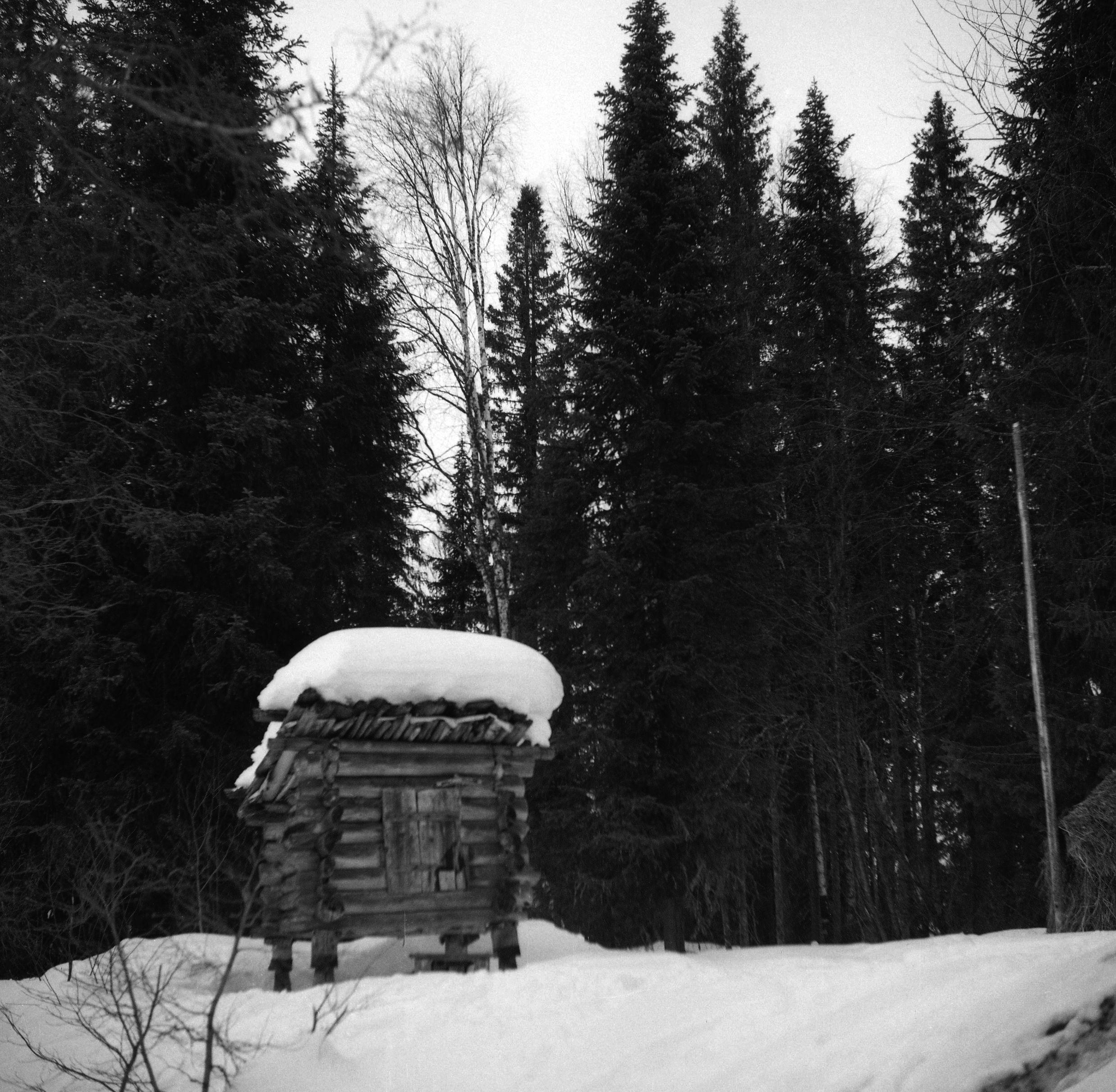 Filmivõtetel Komis - Foto Tõnu Seilenthal