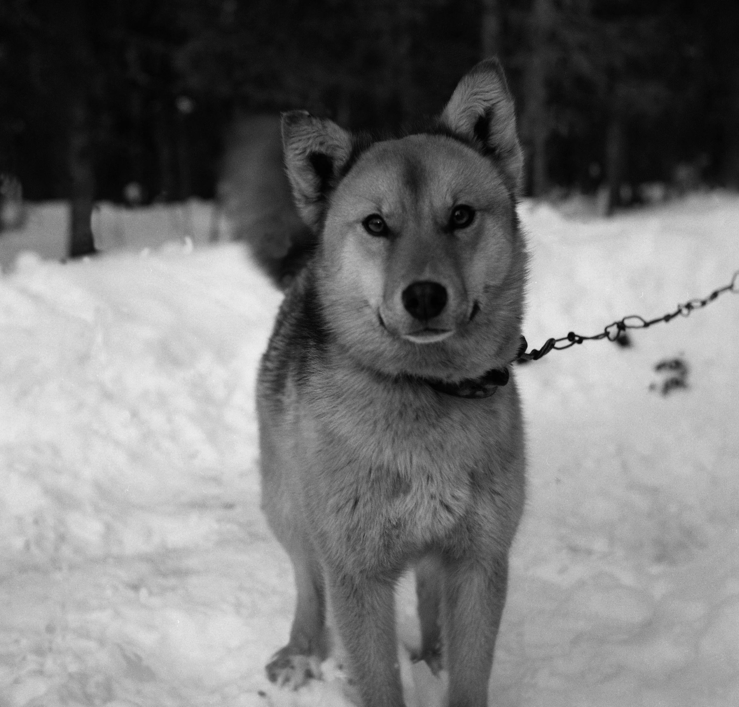 Filmivõtetel Komis - Foto Tõnu Seilenthal