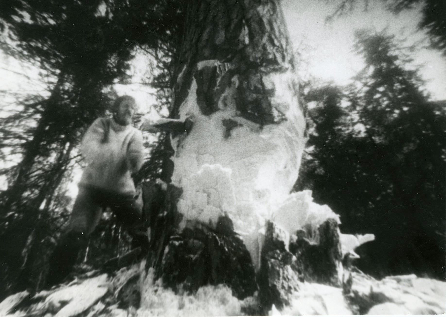 Foto Tõnu Talivee - Nukufilmi kogu