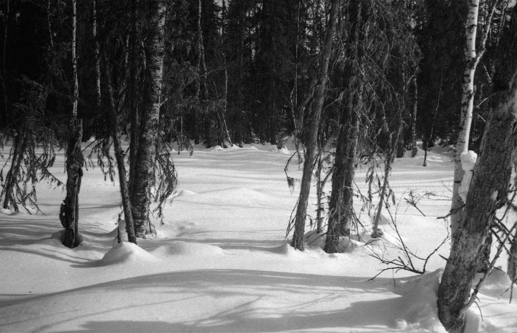 Filmivõtetel Siberis - Foto Tõnu Seilenthal