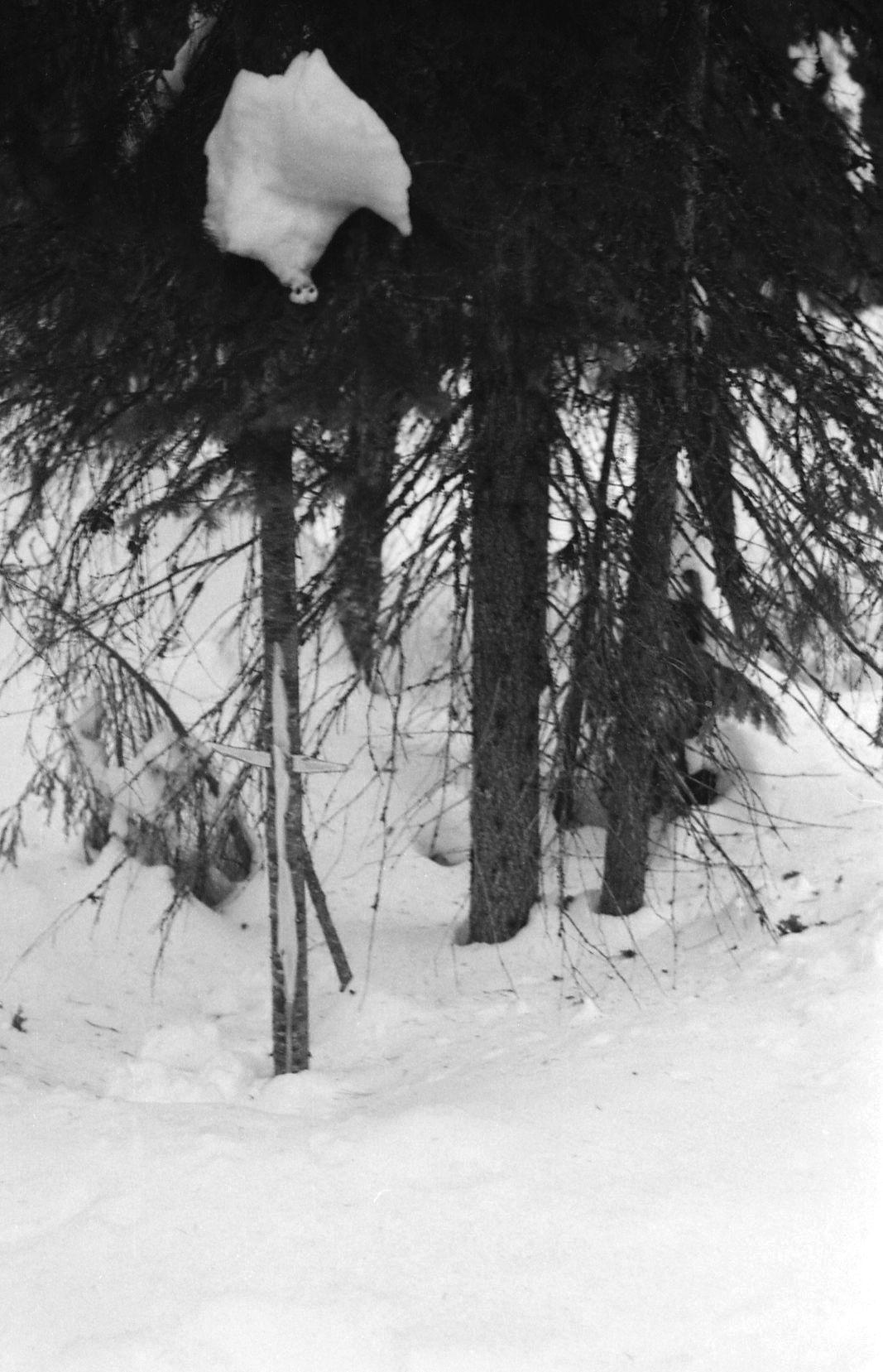 Filmivõtetel Komis - Foto Tõnu Seilenthal