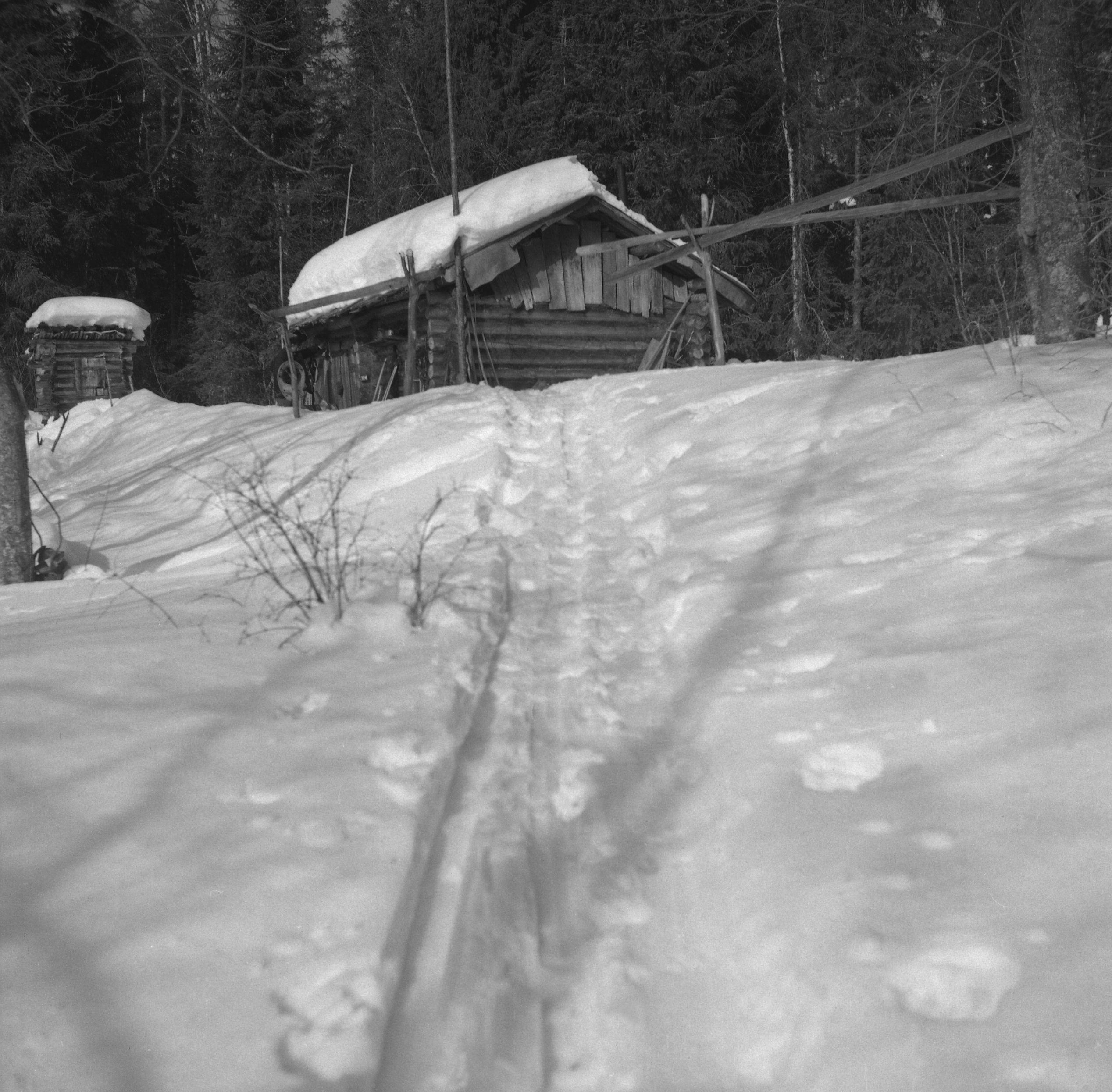 Filmivõtetel Komis - Foto Tõnu Seilenthal