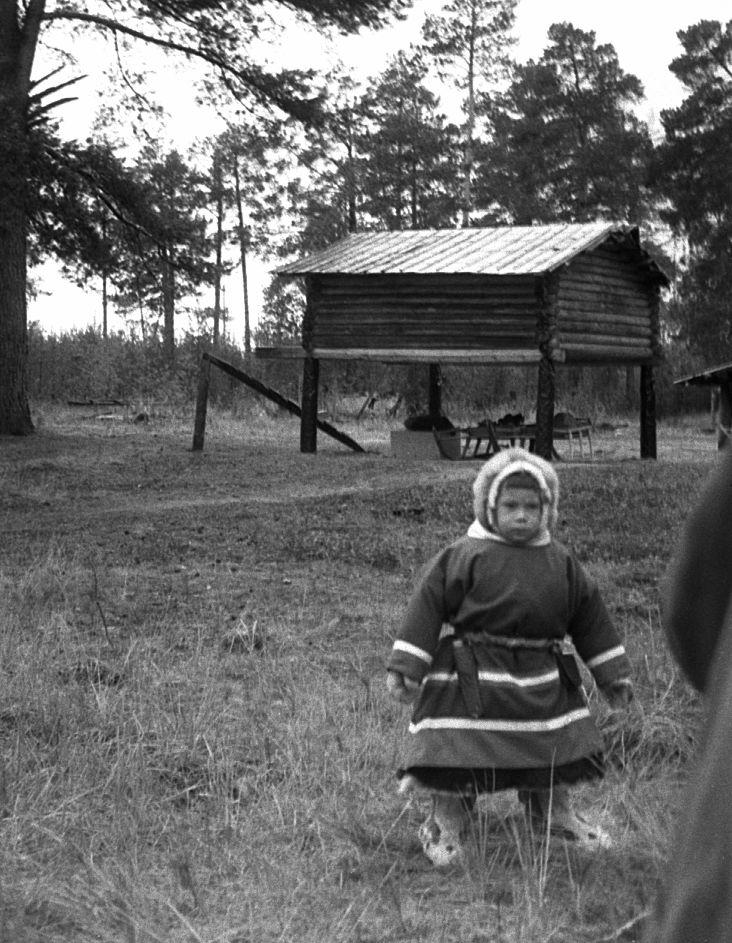 Hantide argipäev - Foto Maie Jõgi