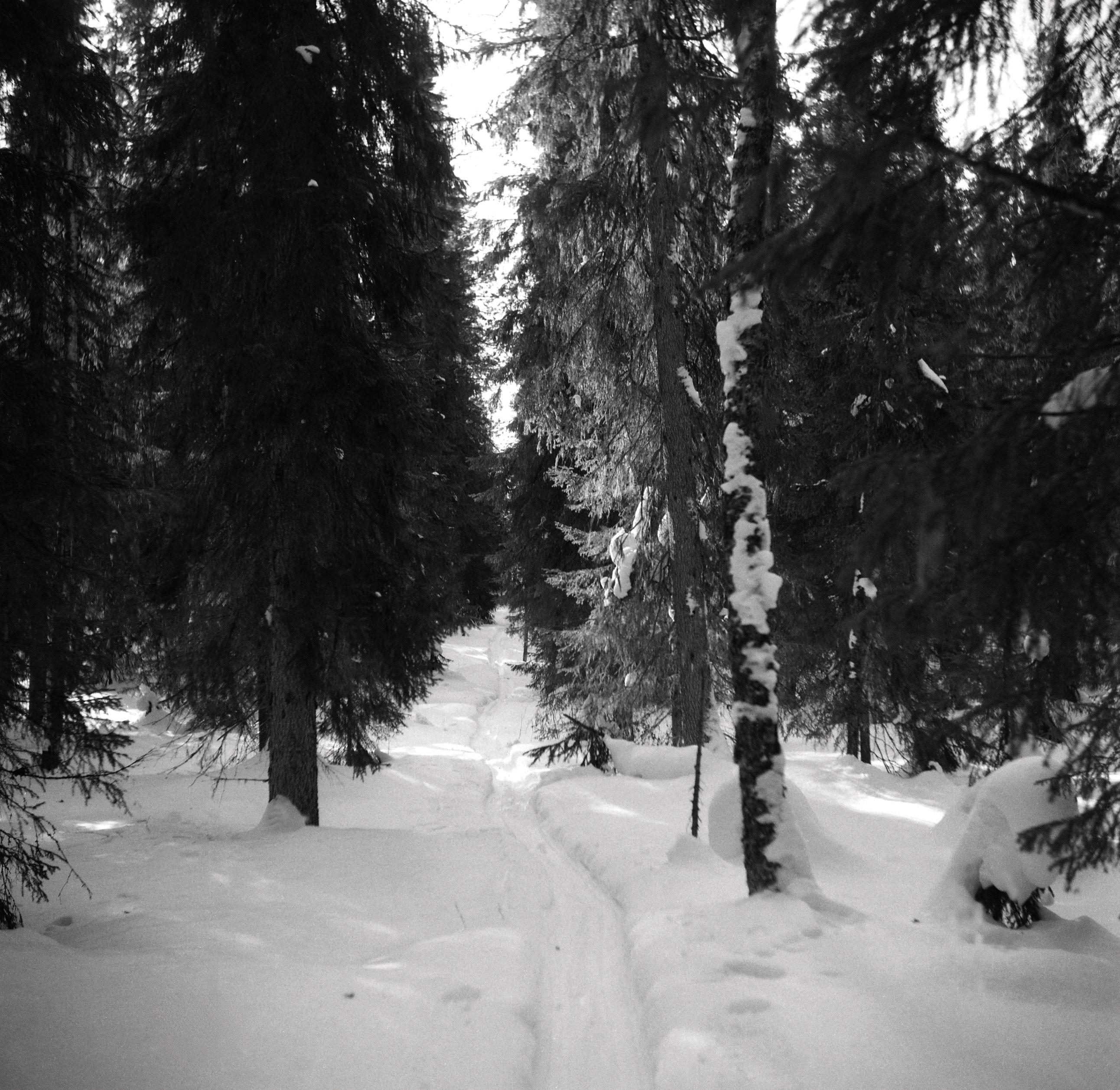 Filmivõtetel Komis - Foto Tõnu Seilenthal