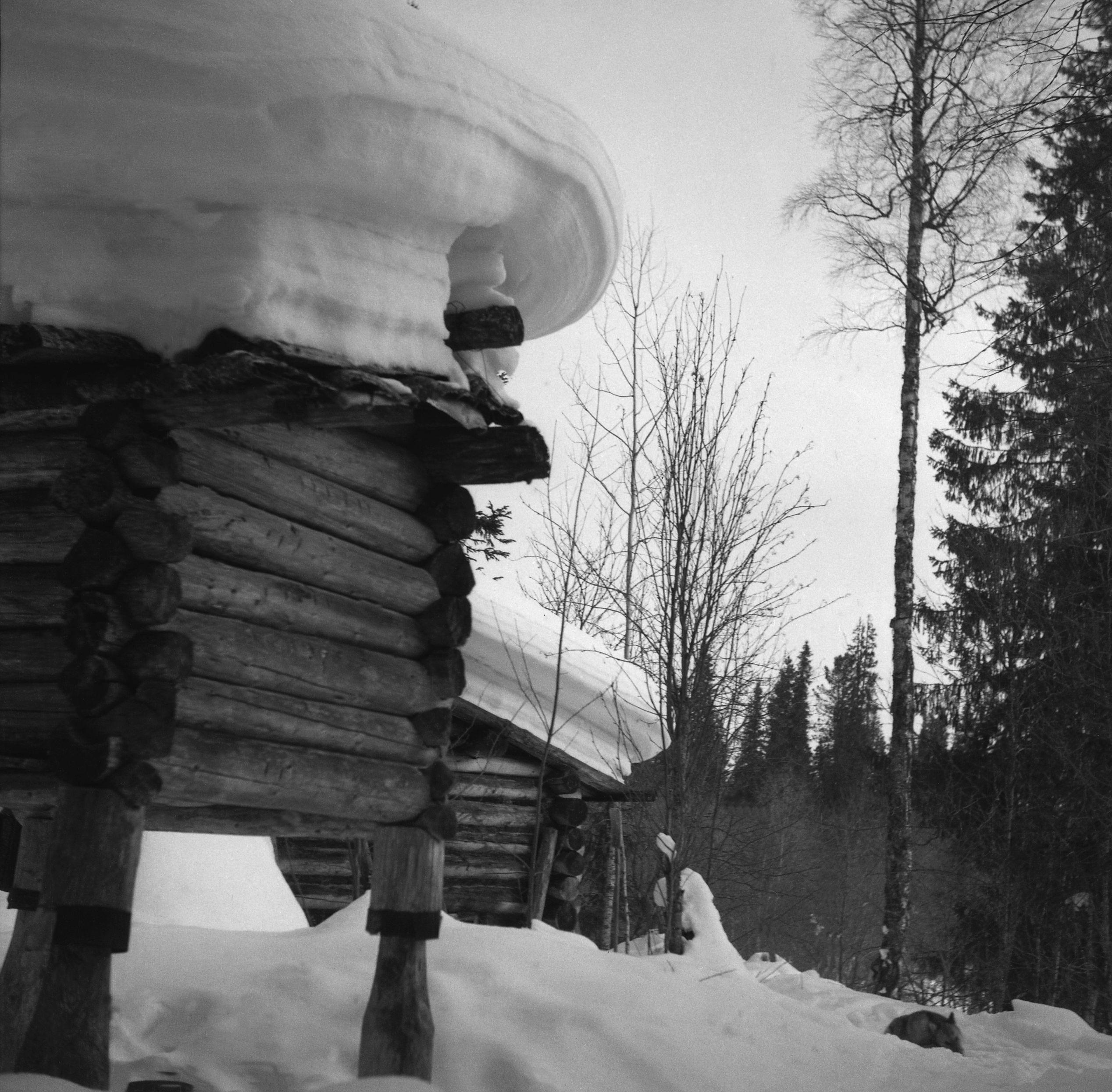 Filmivõtetel Komis - Foto Tõnu Seilenthal