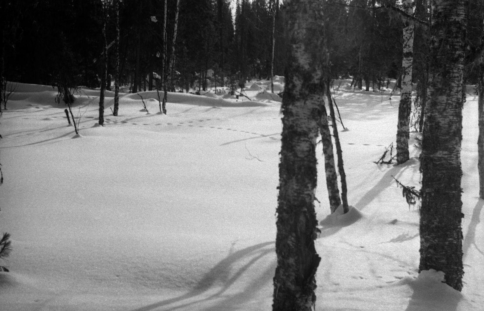 Filmivõtetel Siberis - Foto Tõnu Seilenthal