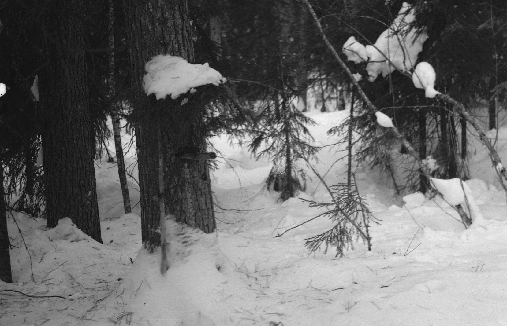 Filmivõtetel Komis - Foto Tõnu Seilenthal