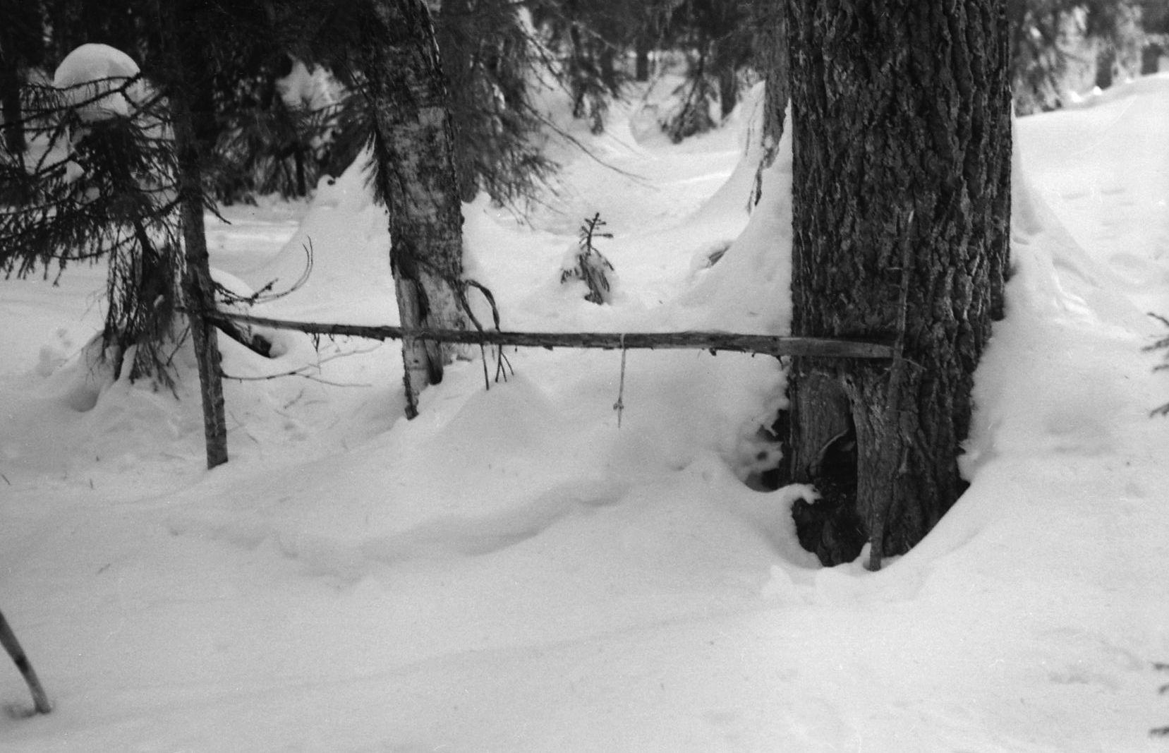 Filmivõtetel Komis - Foto Tõnu Seilenthal