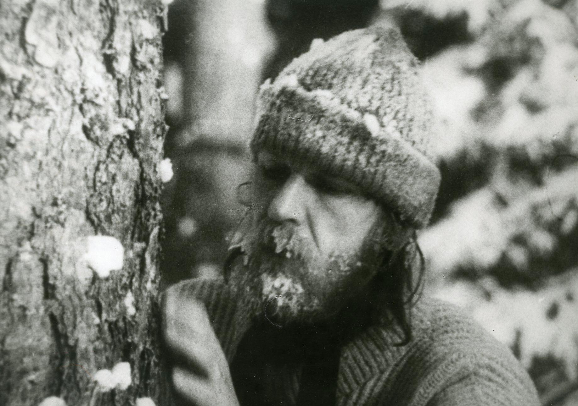 Foto Tõnu Talivee - Nukufilmi kogu