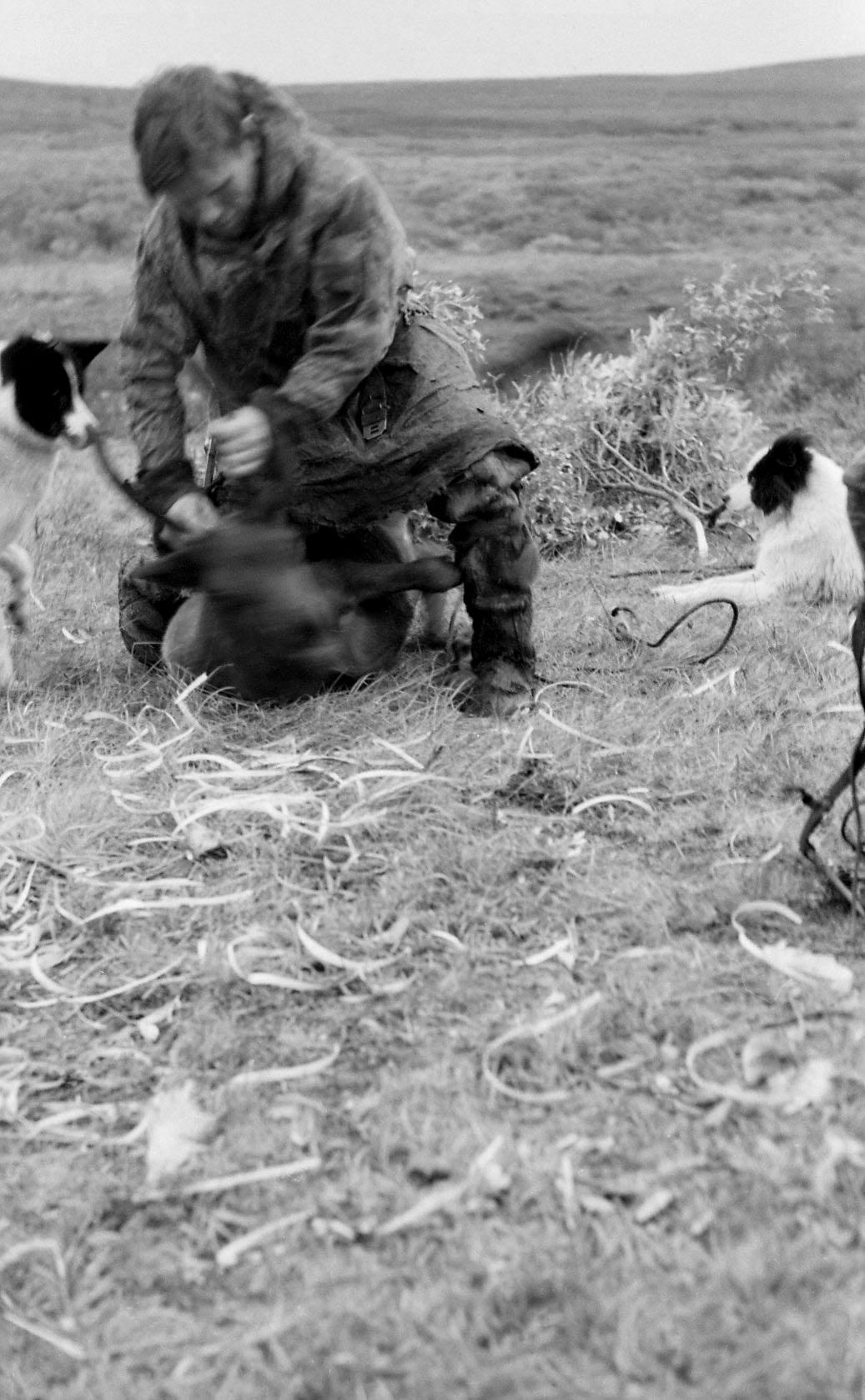Filmivõtetel tundras - Foto Tõnu Seilenthal