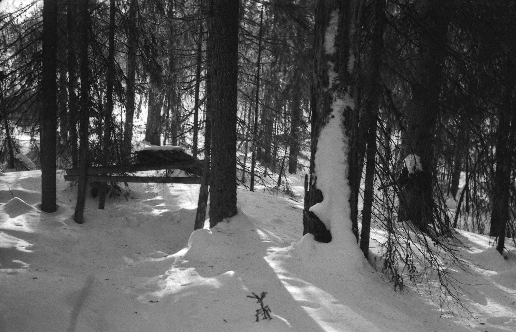 Filmivõtetel Komis - Foto Tõnu Seilenthal