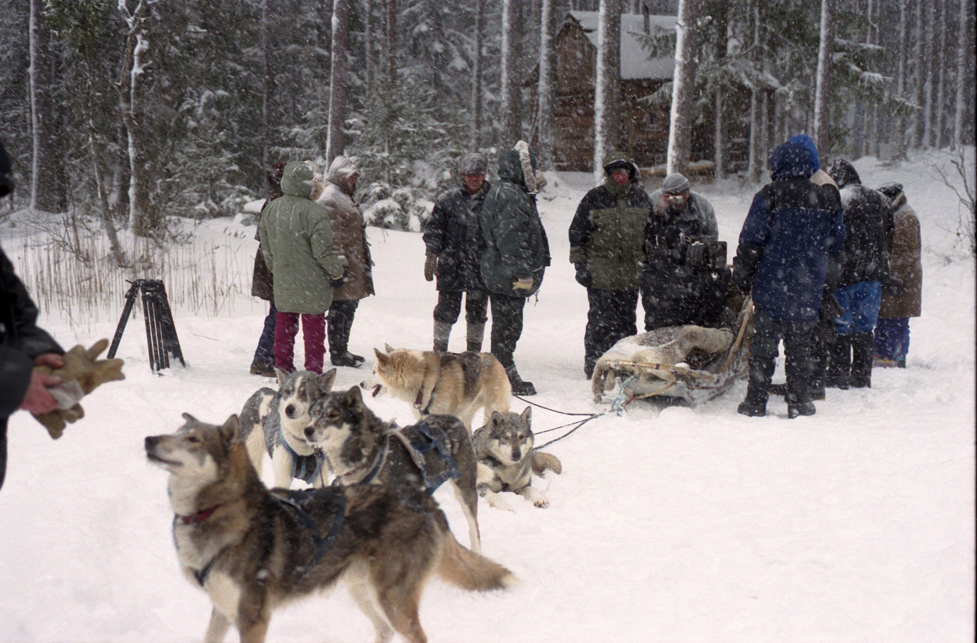 Tuisk. Soomlase Matti Juhani Taponeni kelgukoerad. Võtte ettevalmistamine. 
