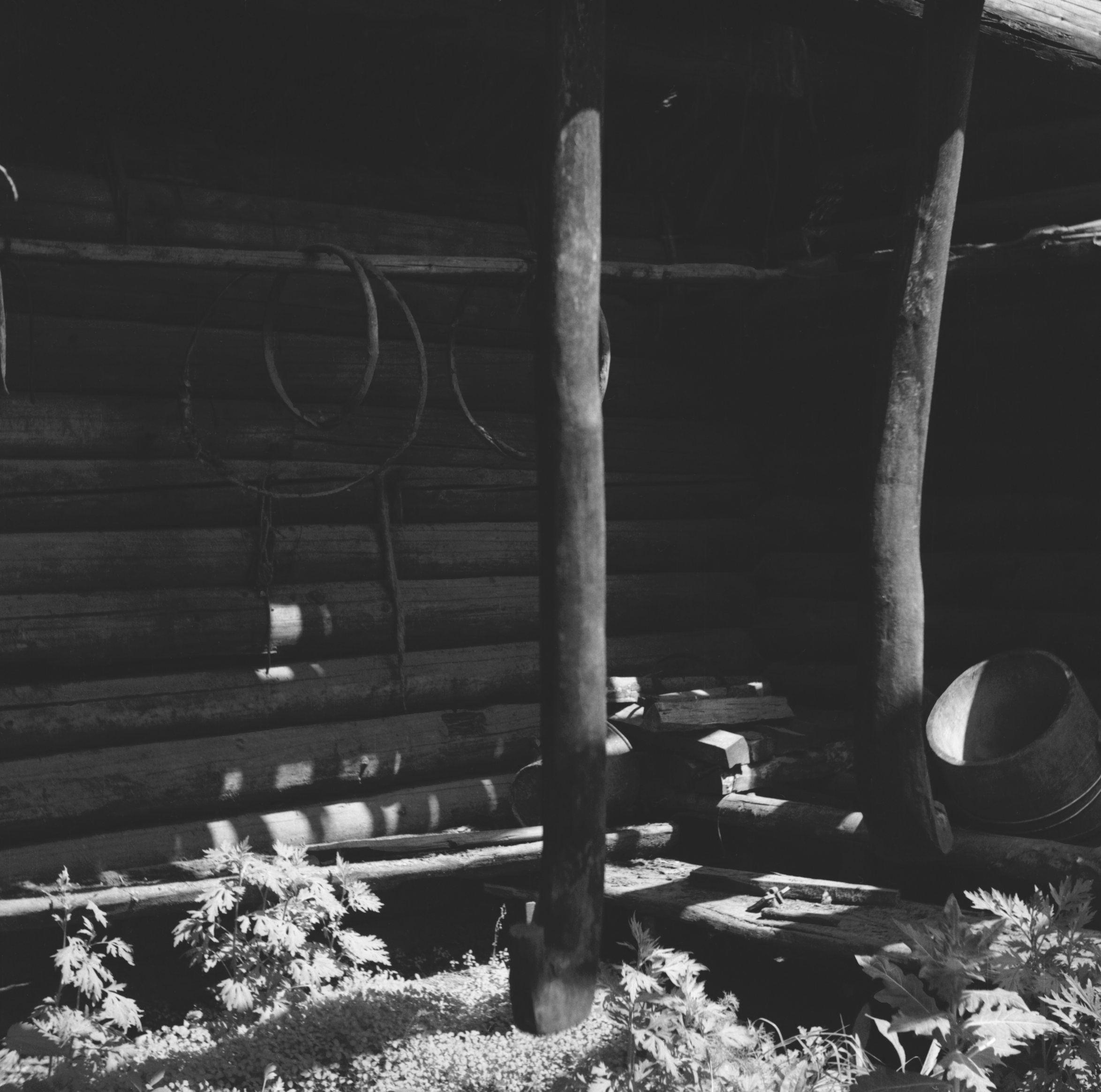 Filmivõtetel Mari külas – Foto Tõnu Seilenthal