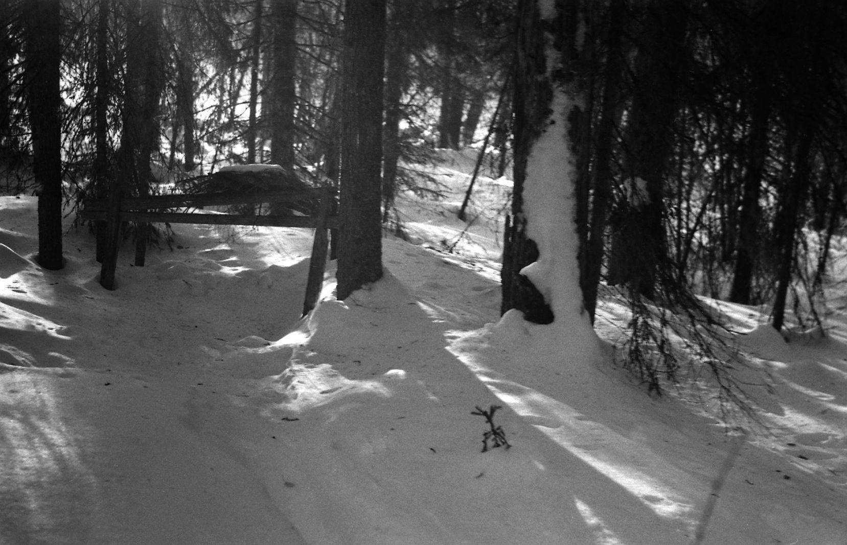 Filmivõtetel Siberis - Foto Tõnu Seilenthal