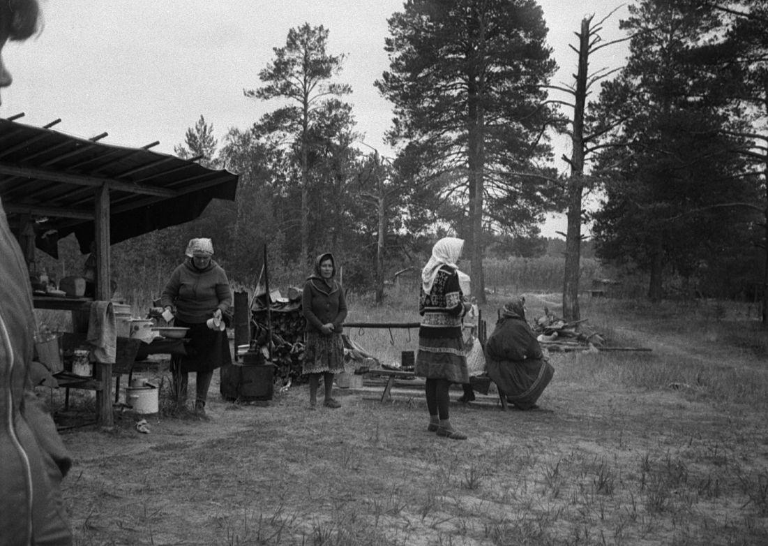 Hantide argipäev - Foto Maie Jõgi