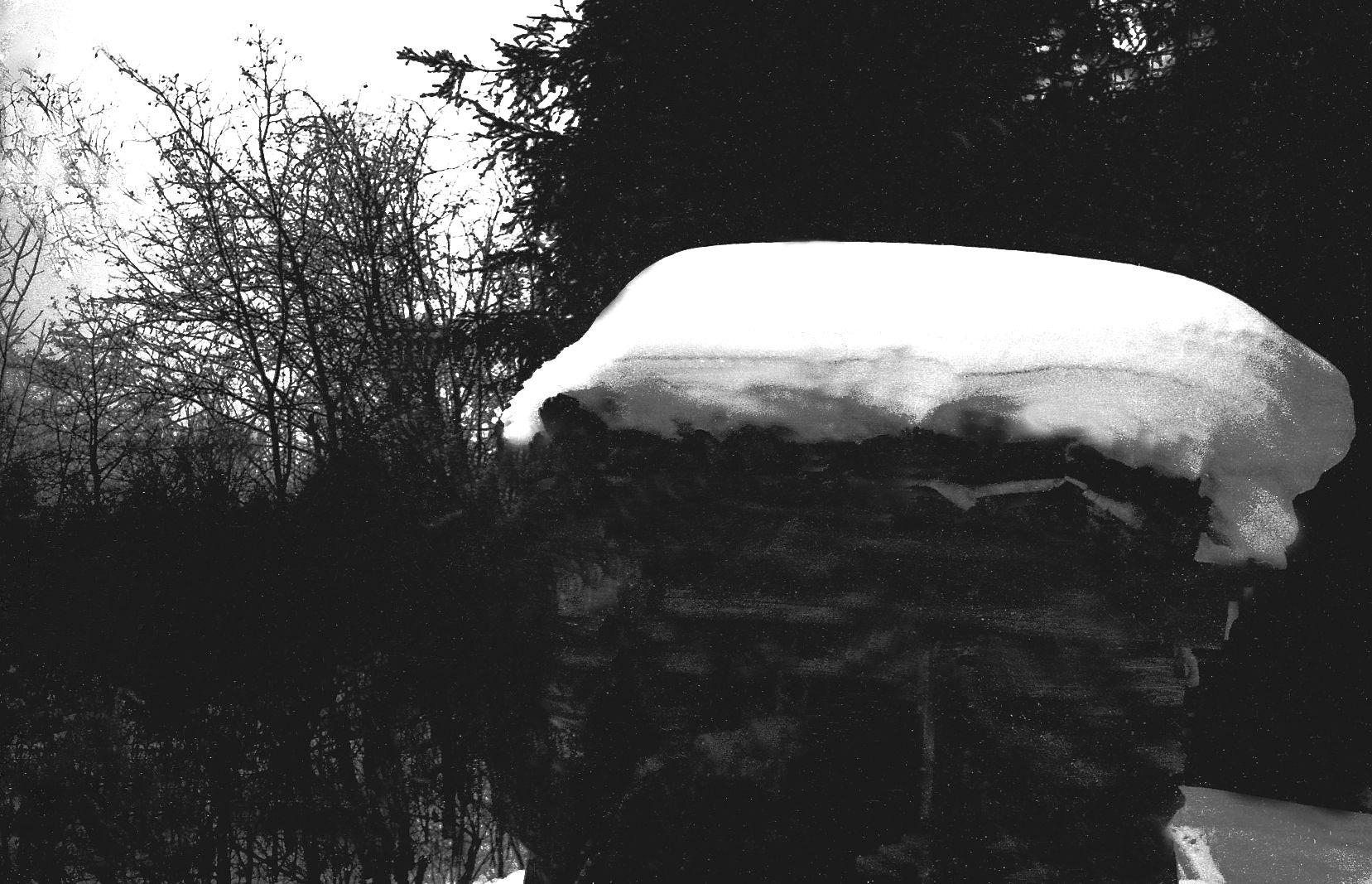 Filmivõtetel Siberis - Foto Tõnu Seilenthal