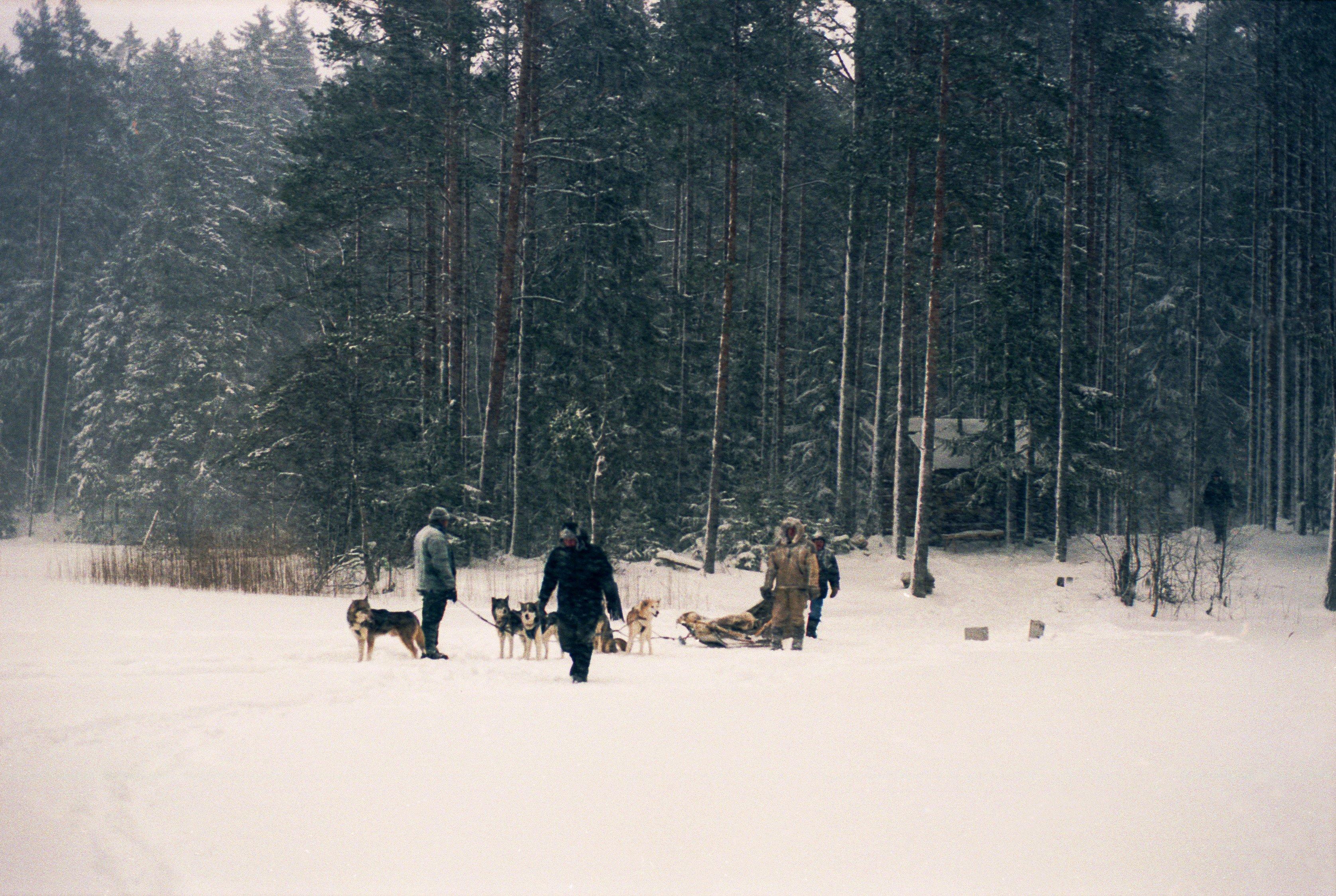 Järve peal, sätitakse koertega sõiduks.