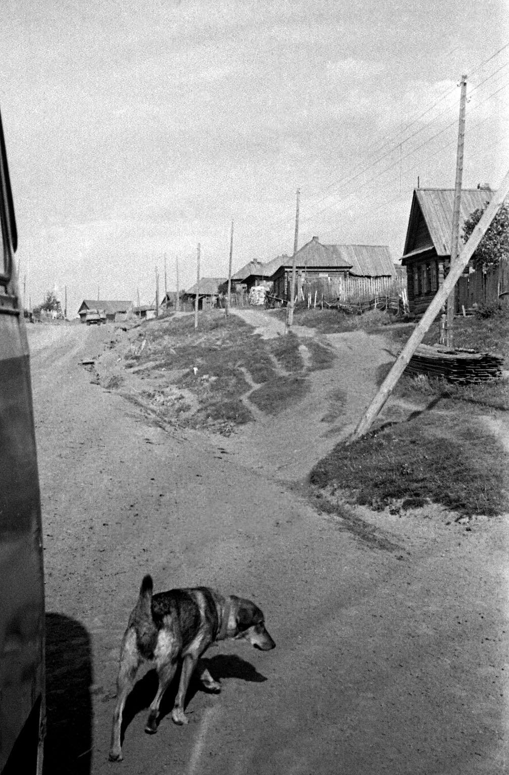 Filmivõtetel Siberis - Foto Tõnu Seilenthal