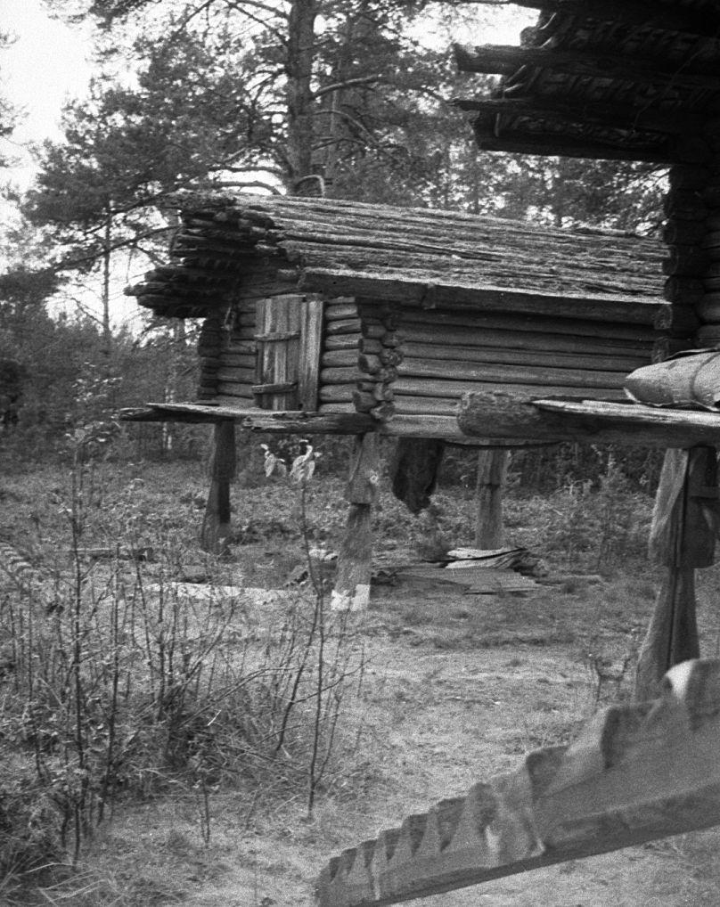 Võttepaigal - Foto Maie Jõgi