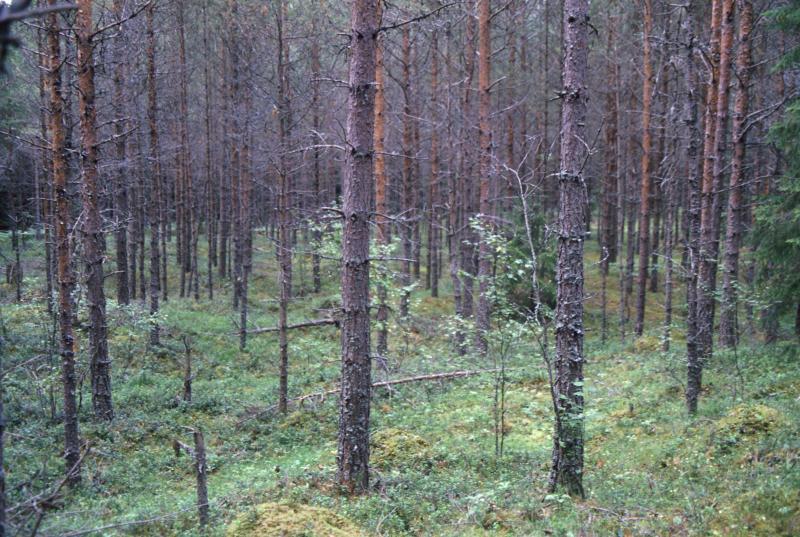 Võttepaikade otsingul