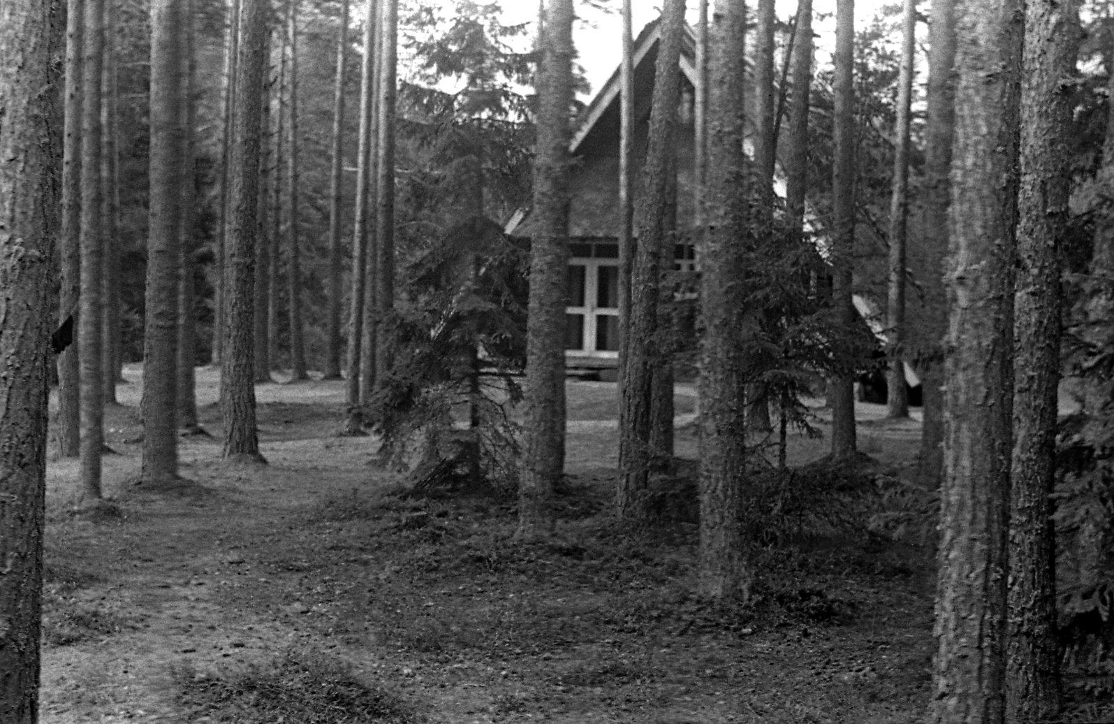 Lindpriid (1971) Enn Säde kogu I
