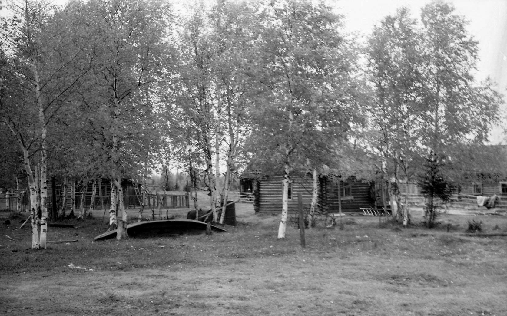 Filmivõtetel Siberis - Foto Tõnu Seilenthal