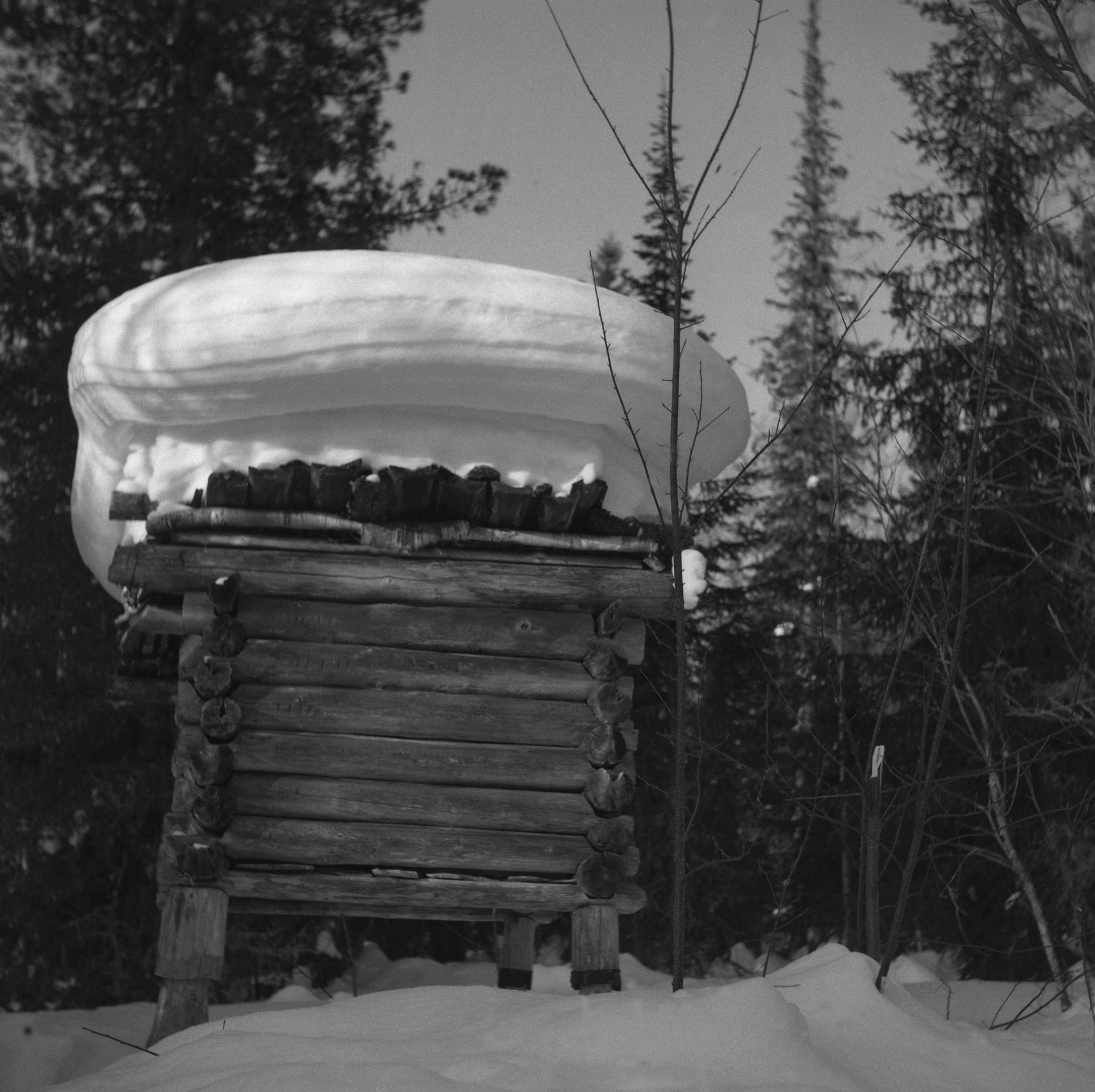 Filmivõtetel Komis - Foto Tõnu Seilenthal