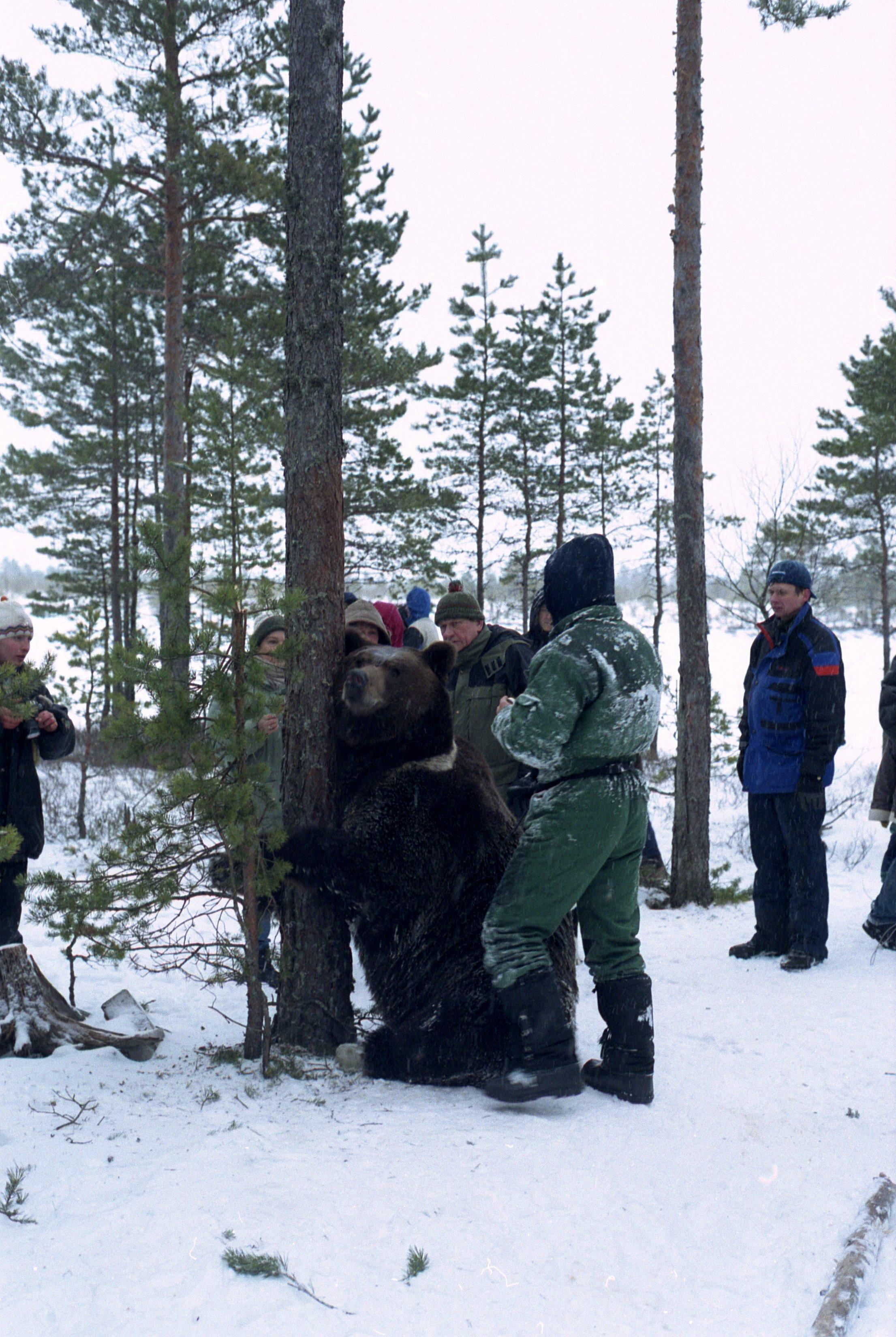 Karu valmistub filmivõtteks.