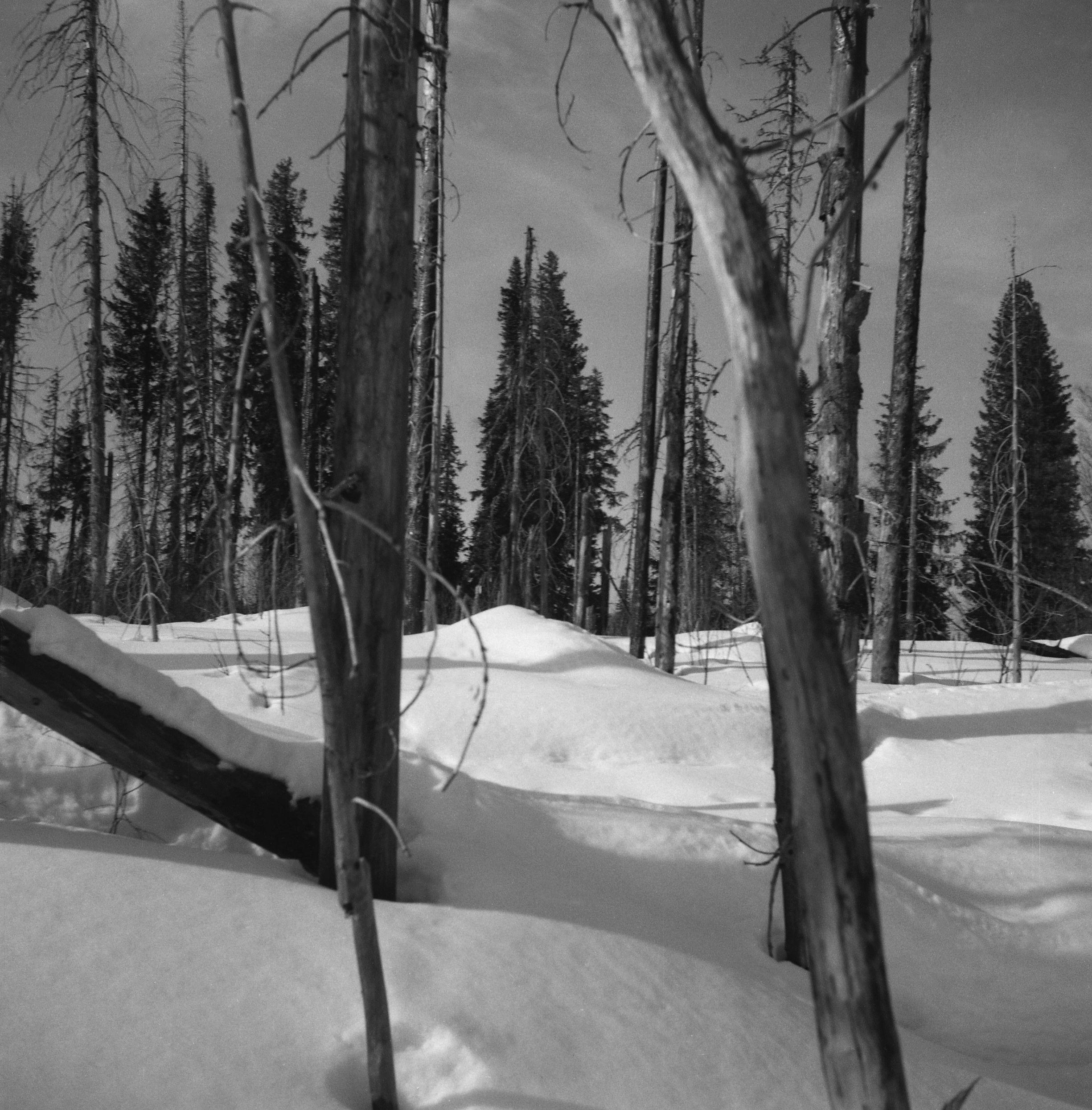 Filmivõtetel Komis - Foto Tõnu Seilenthal