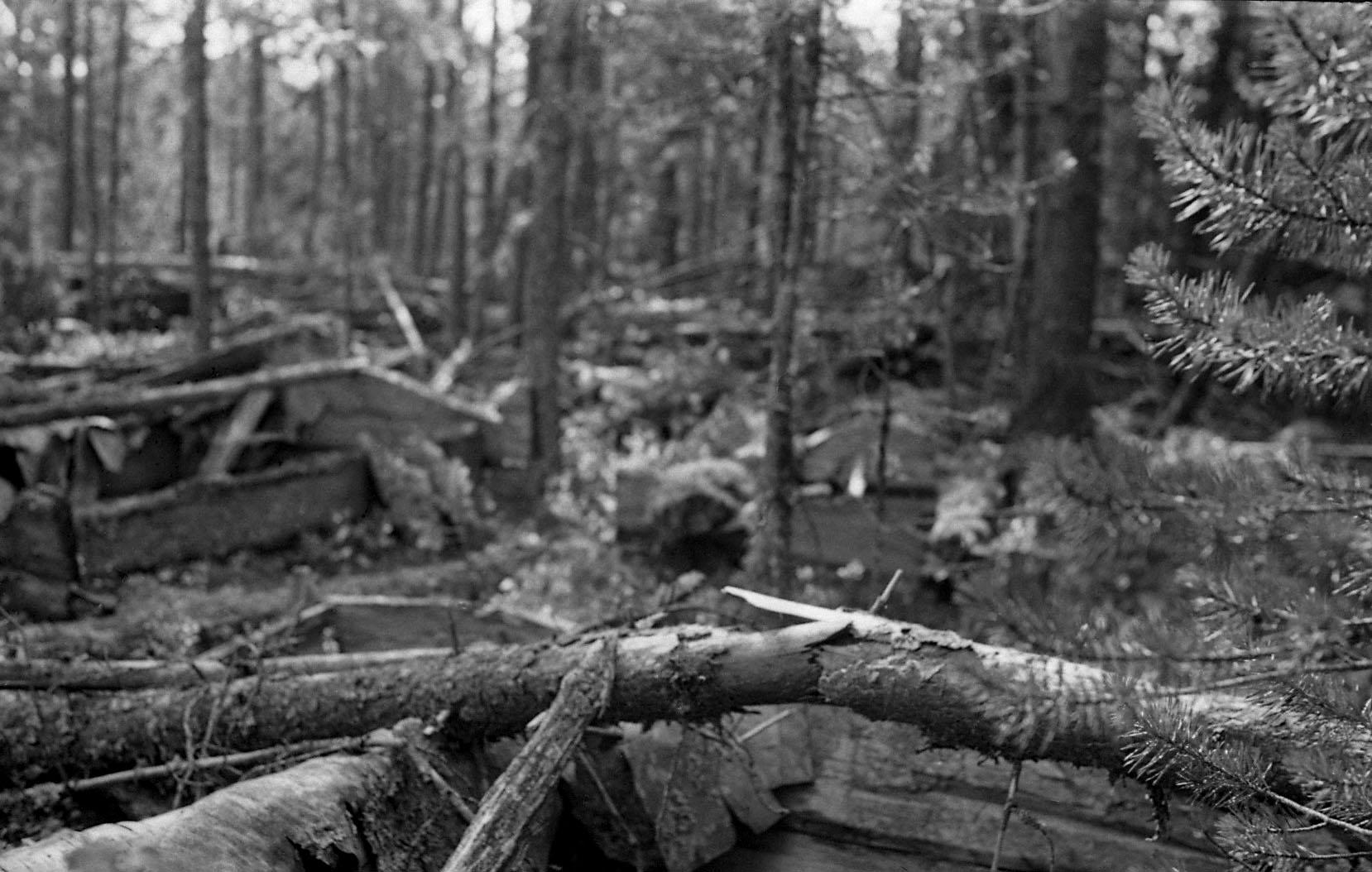 Filmivõtetel tundras - Foto Tõnu Seilenthal