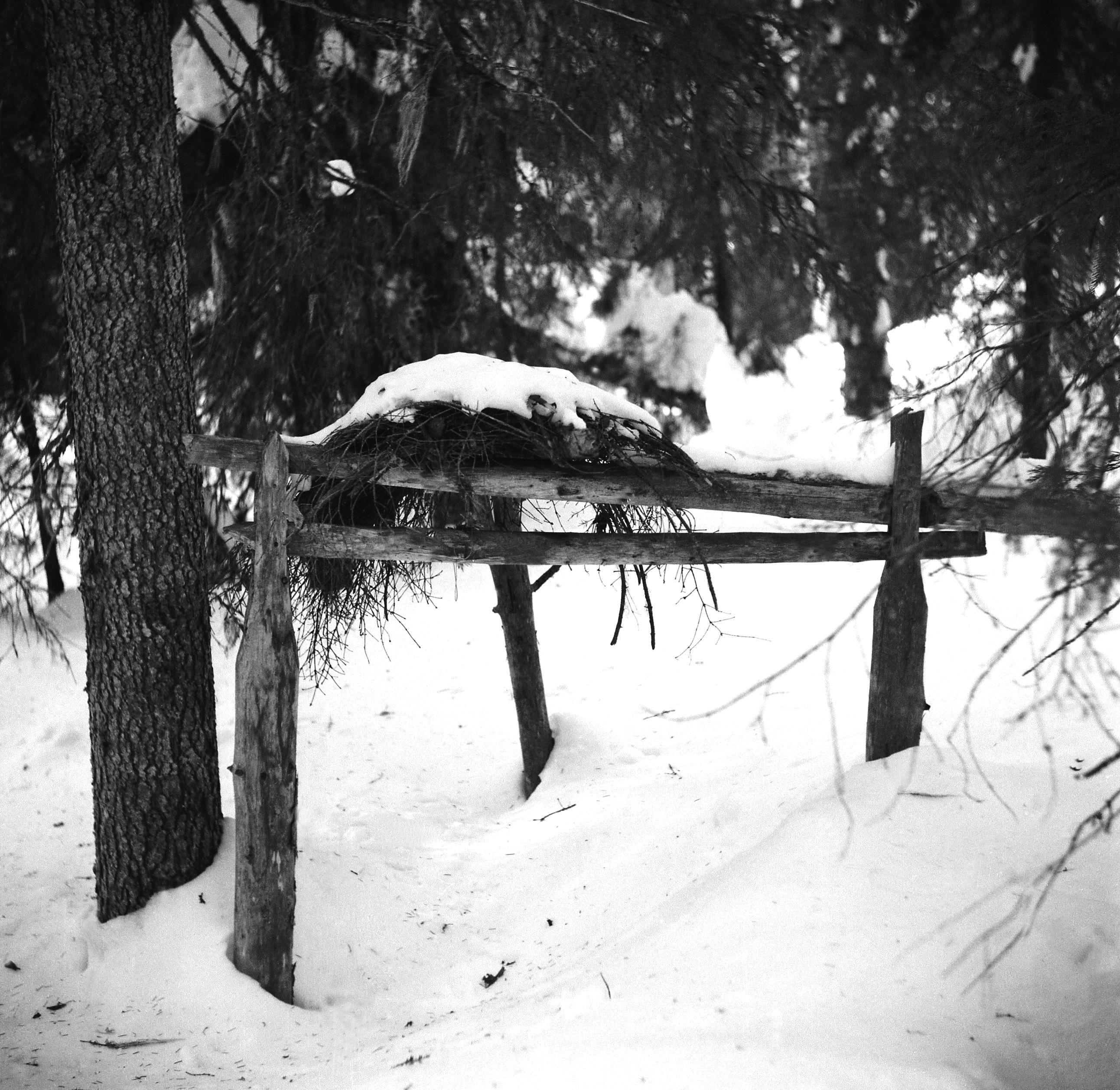 Filmivõtetel Komis - Foto Tõnu Seilenthal