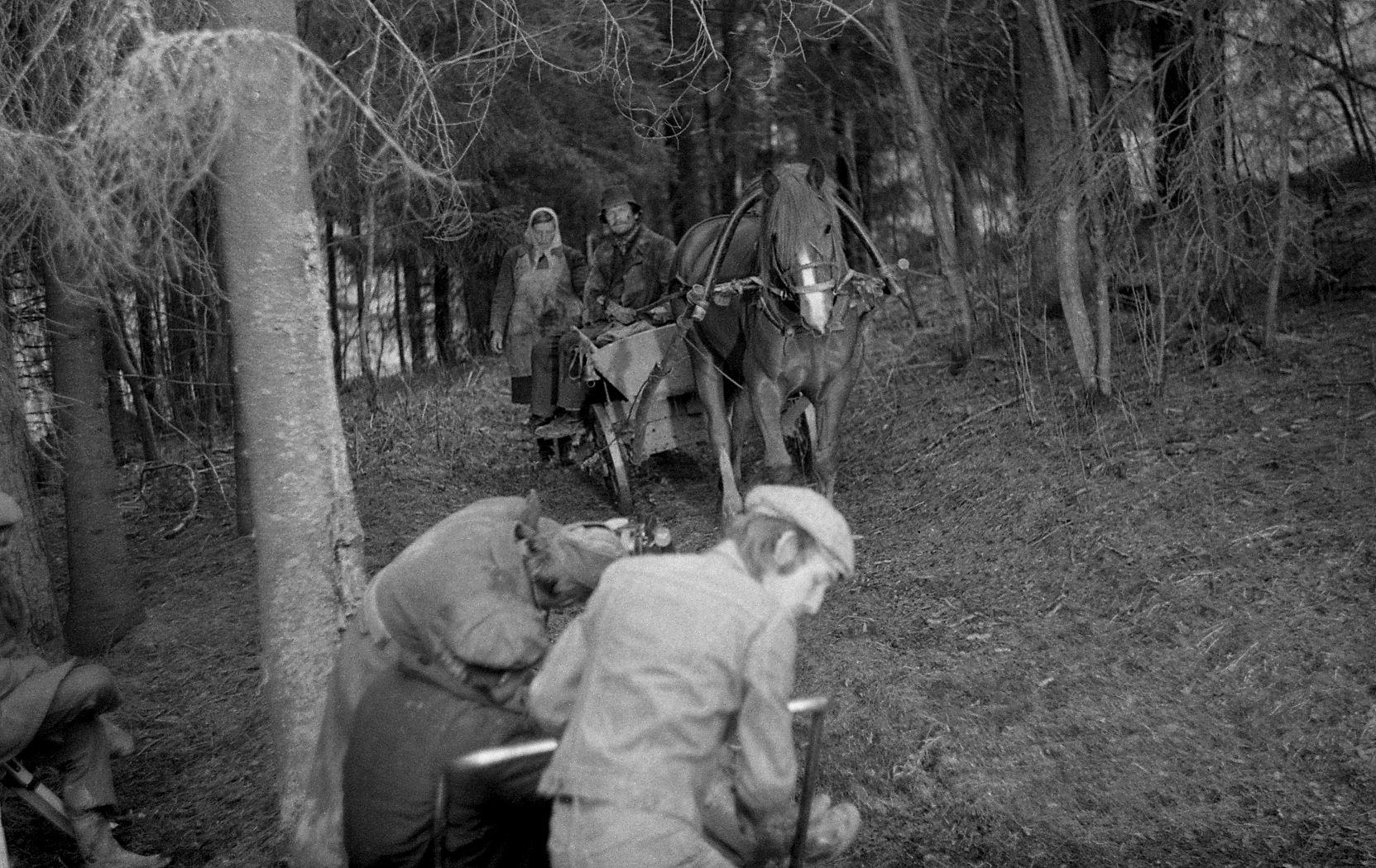 Filmi algusepisood,  perenaine ja  peremees tulevad õhkulennand lehma jäänustega. Roosi Piiri osatäitja Nelli Taar ja Jüri Piiri osatäitja Rudolf Allabert. 