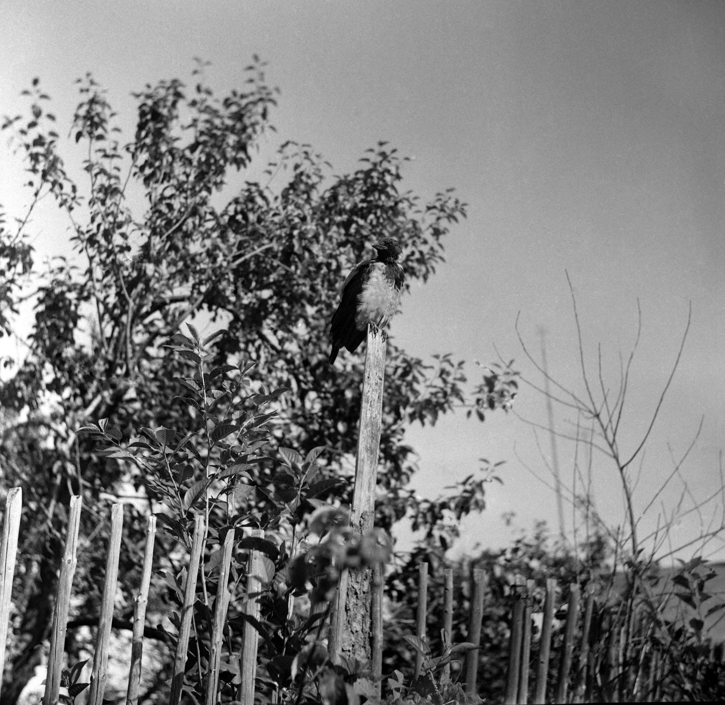 Filmivõtetel Mari külas – Foto Tõnu Seilenthal