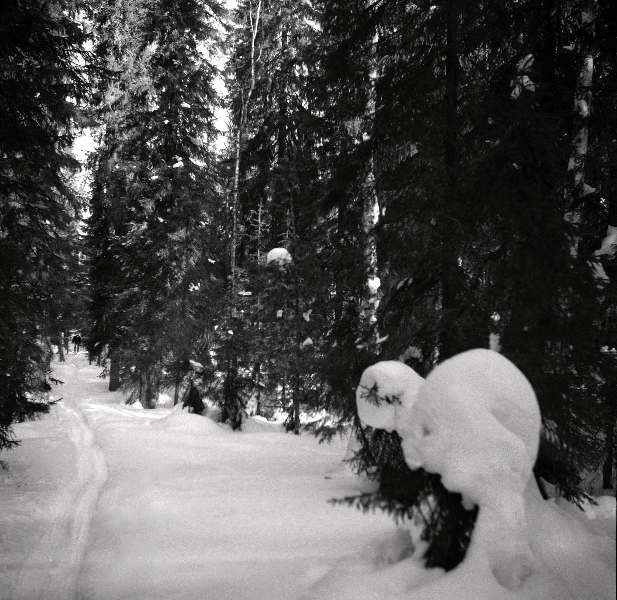 Filmivõtetel Komis - Foto Tõnu Seilenthal