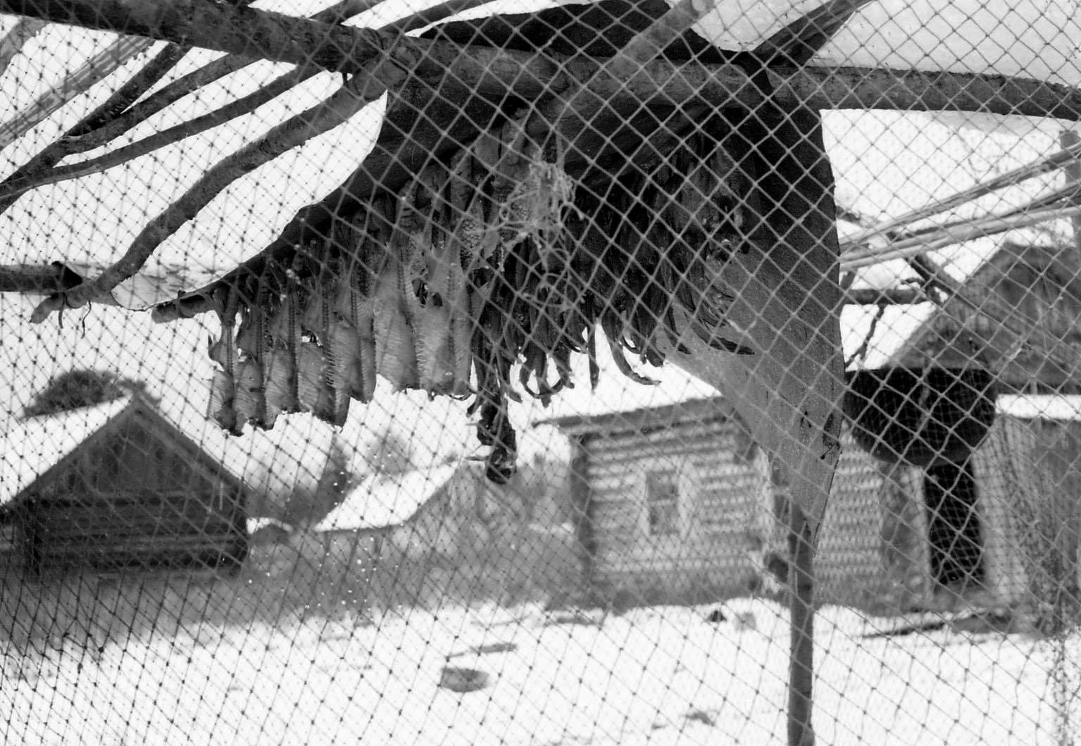 Filmivõtetel Siberis - Foto Tõnu Seilenthal