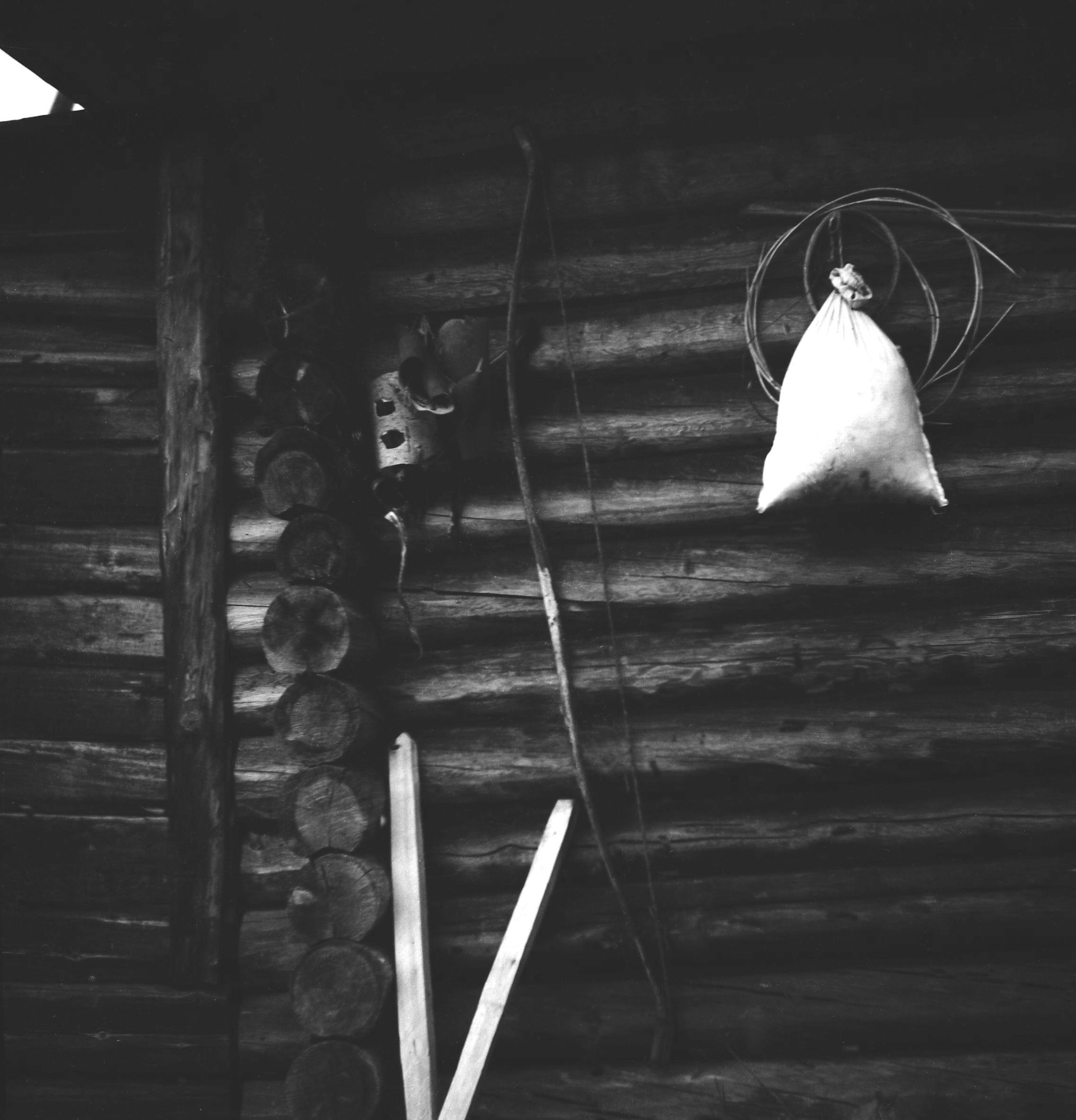 Filmivõtetel Siberis - Foto Tõnu Seilenthal